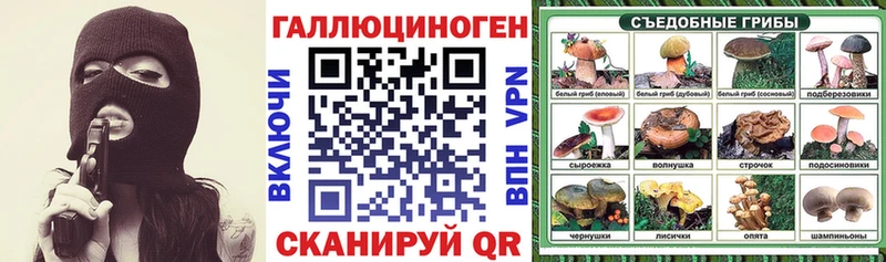 Псилоцибиновые грибы Cubensis  Малоархангельск 